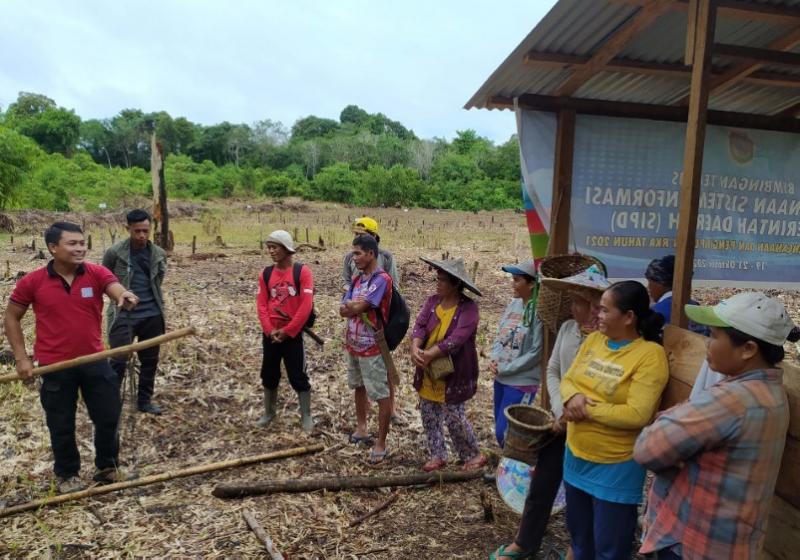 Artikel Berita PENELITIAN BERLADANG TANPA MEMBAKAR LAHAN